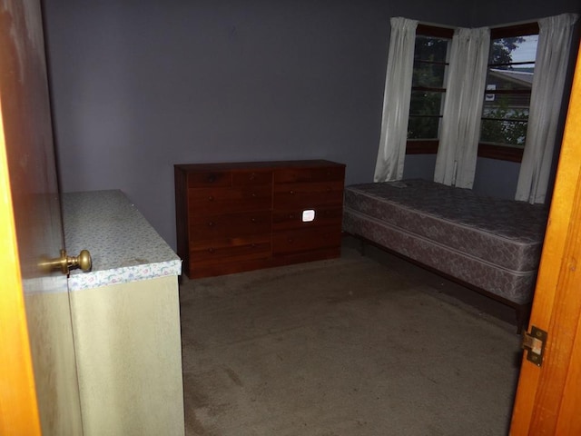 unfurnished bedroom with carpet