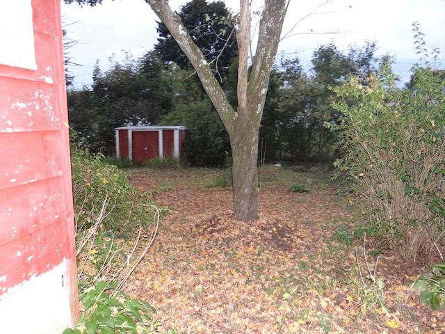 view of yard featuring a storage shed