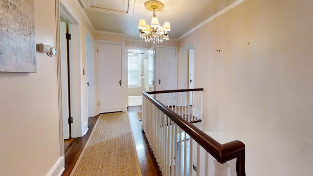 corridor featuring crown molding, dark hardwood / wood-style flooring, and a notable chandelier