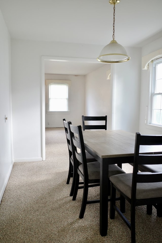 dining space featuring carpet floors