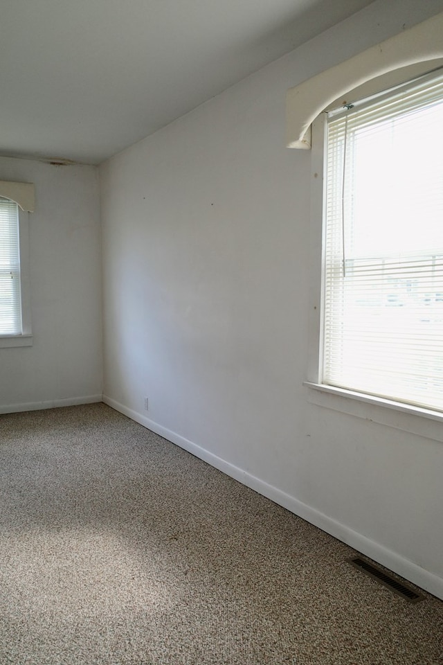 empty room featuring a wealth of natural light and carpet floors