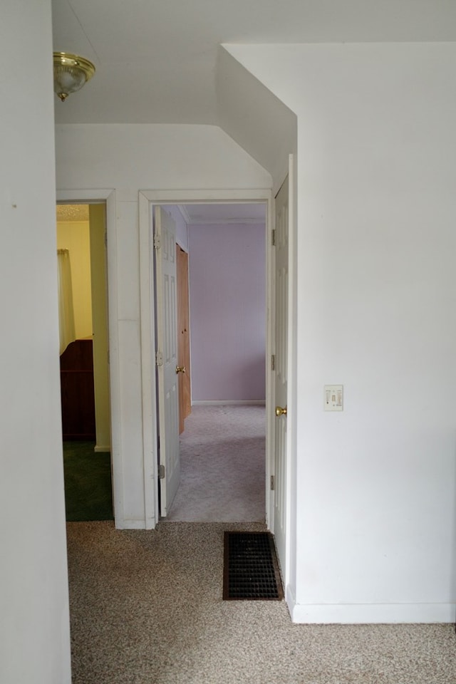 hallway featuring carpet floors