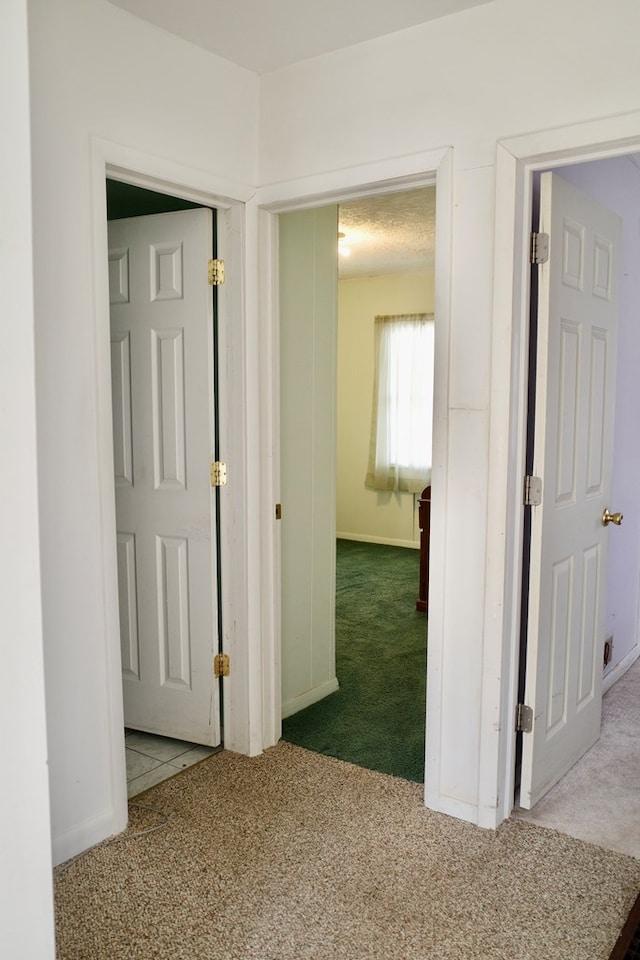 hallway with carpet flooring