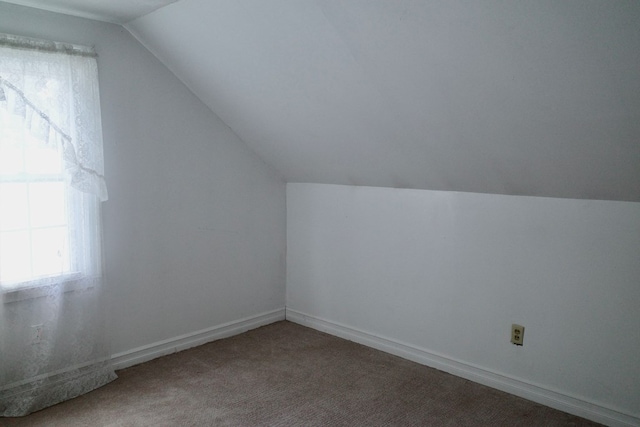 bonus room featuring carpet and vaulted ceiling