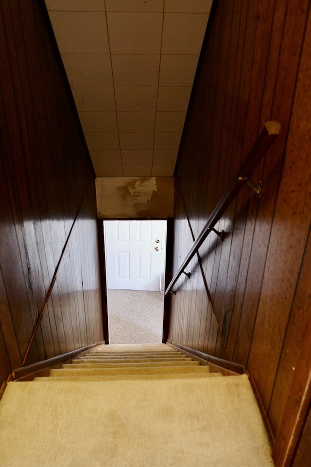 staircase with wood walls and carpet floors