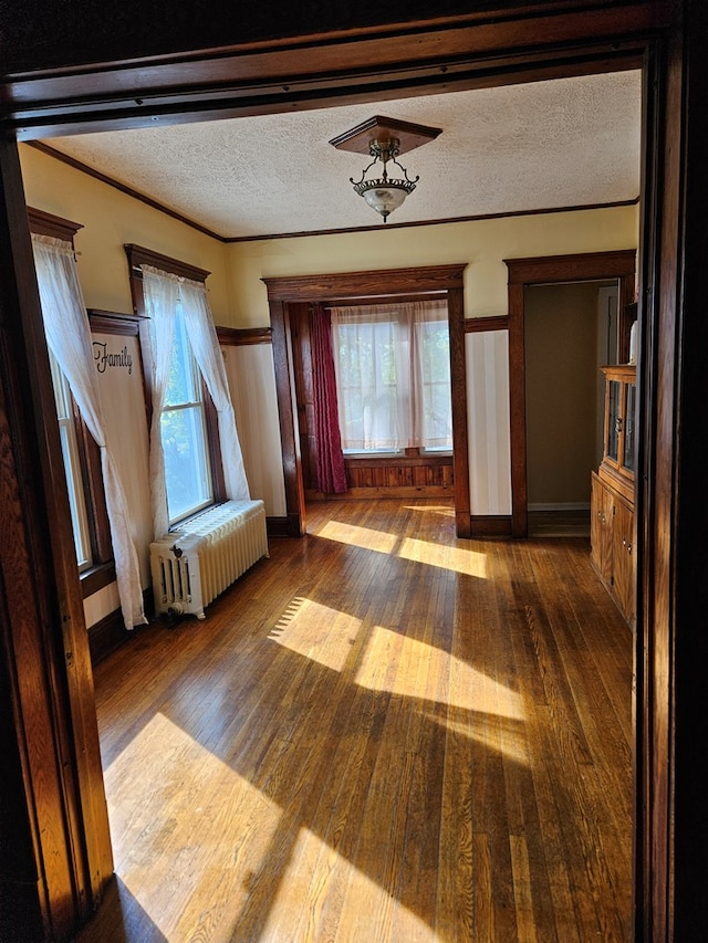 entryway featuring radiator heating unit, dark hardwood / wood-style floors, a textured ceiling, and a wealth of natural light