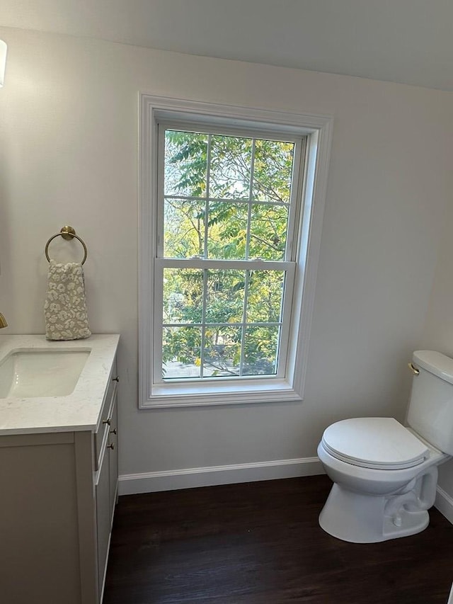 bathroom featuring hardwood / wood-style flooring, vanity, and toilet