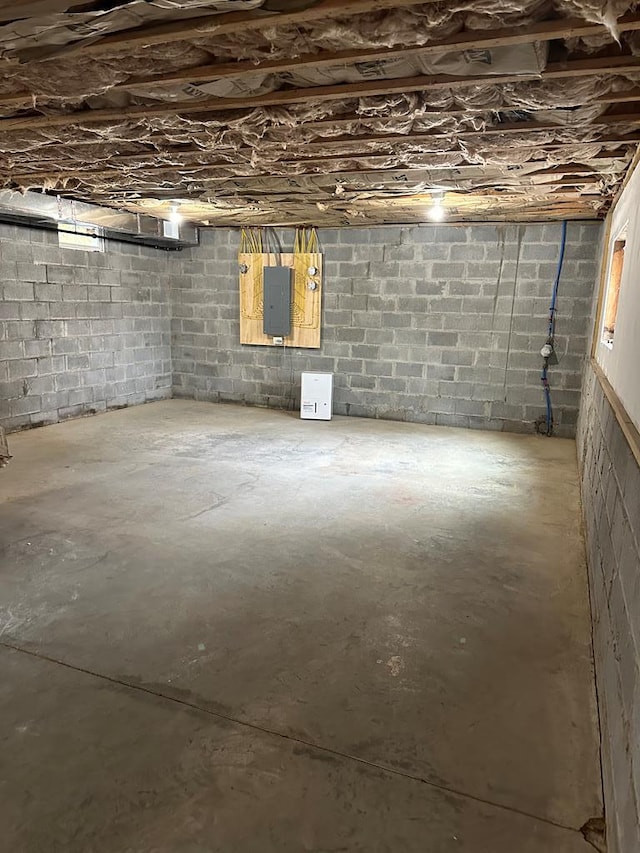 basement with electric panel