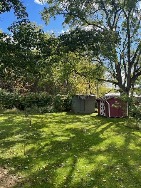 view of yard featuring a storage unit