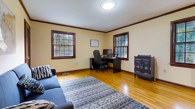 office area featuring wood-type flooring and crown molding