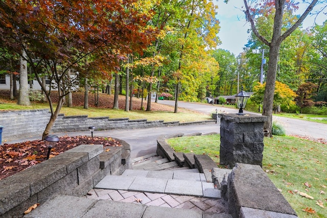 view of community featuring a yard