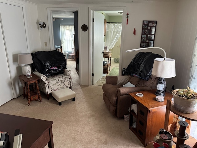 living room featuring light colored carpet