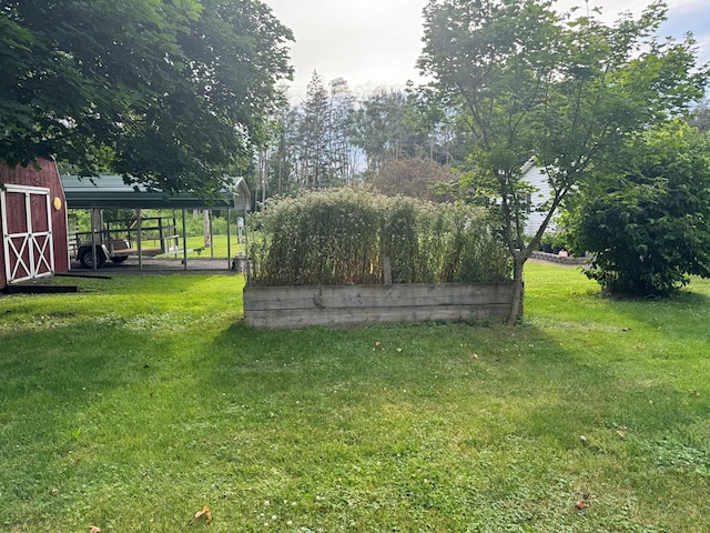 view of yard featuring an outdoor structure