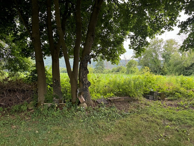 view of yard with a water view