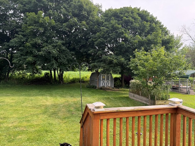 view of yard with a shed