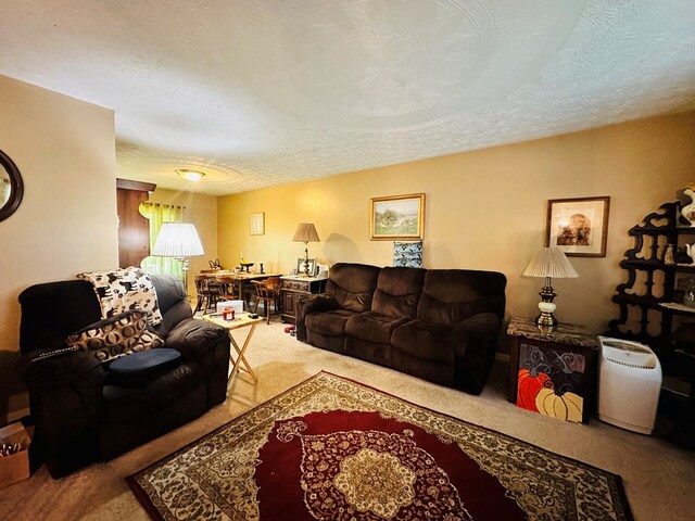 living room with carpet flooring and a textured ceiling