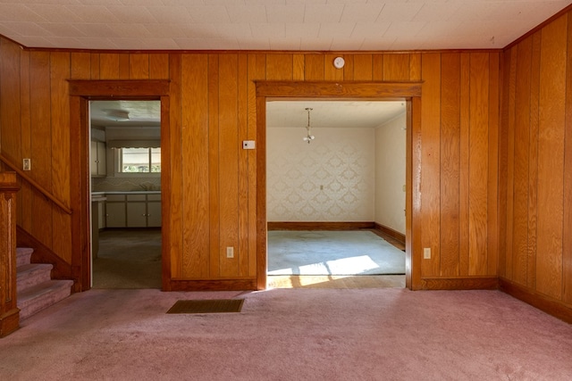 carpeted spare room with sink and wooden walls