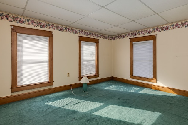 spare room featuring carpet flooring, a wealth of natural light, and a drop ceiling