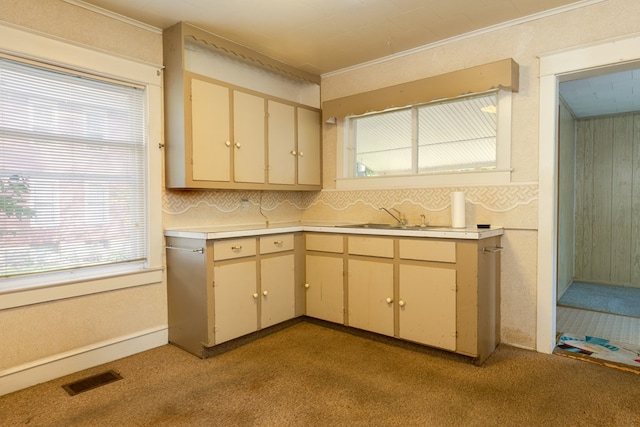 kitchen featuring light carpet and sink