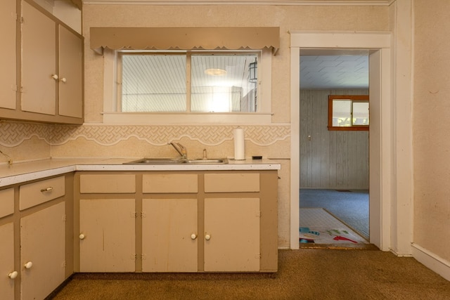 kitchen featuring sink and carpet floors