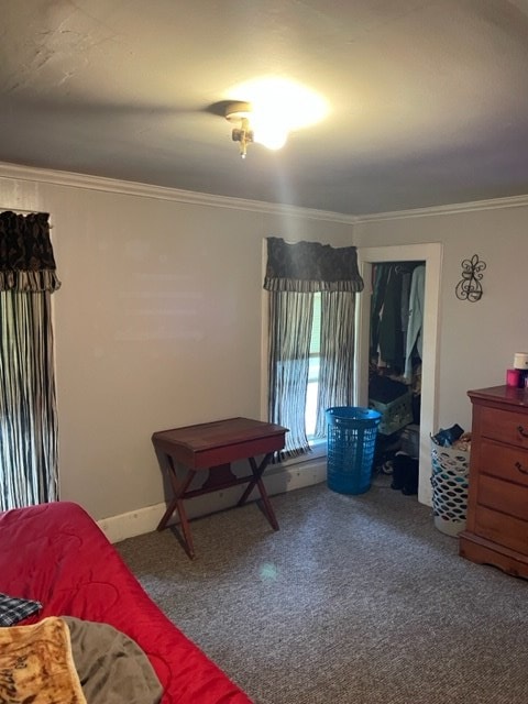 bedroom with ornamental molding and carpet floors