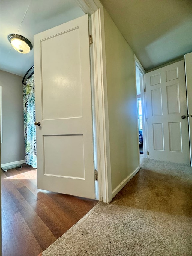 hallway with carpet flooring