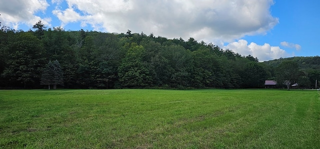 Listing photo 2 for 0 Mile Lane Rd, Sayre PA 18840