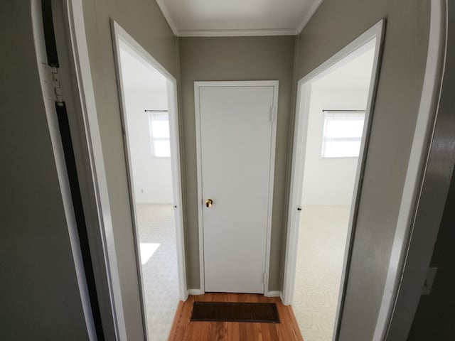 corridor featuring ornamental molding and light wood-type flooring