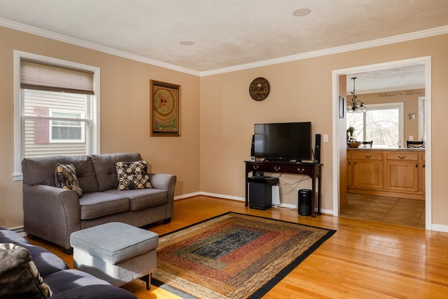 living room with hardwood / wood-style flooring, ornamental molding, a textured ceiling, and an inviting chandelier