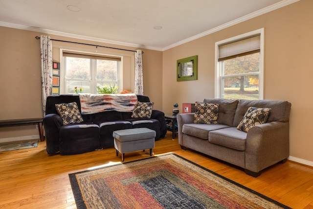 living room featuring light hardwood / wood-style floors and ornamental molding