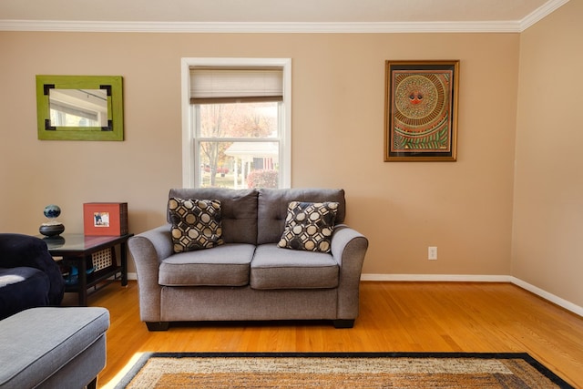 living room featuring light hardwood / wood-style floors and ornamental molding