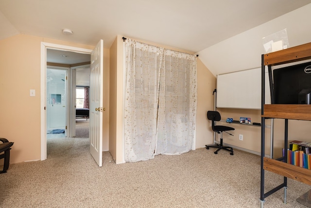 interior space with vaulted ceiling