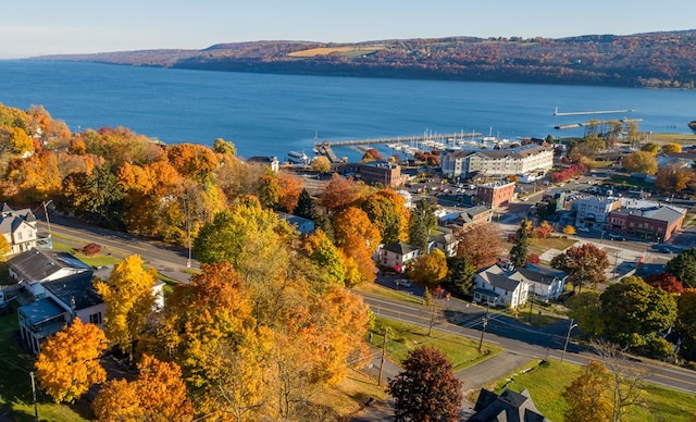 aerial view featuring a water view