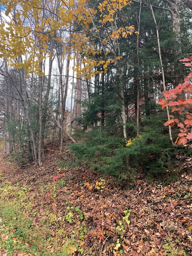 00 Townsend Rd, Watkins Glen NY, 14891 land for sale