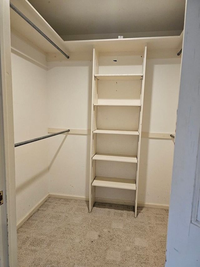 walk in closet with light colored carpet