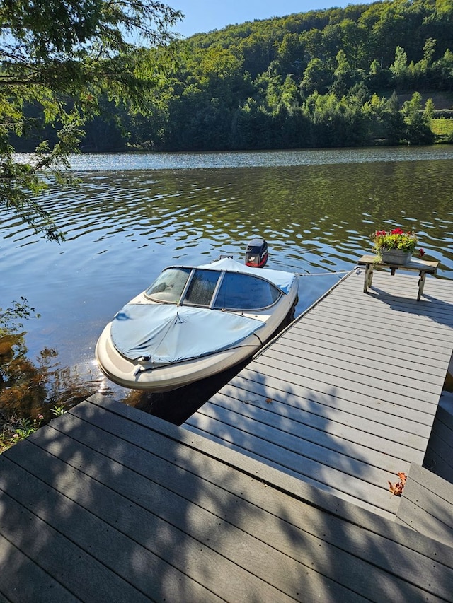 view of dock with a water view