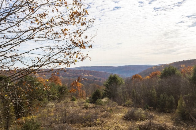 property view of mountains