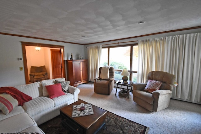 living room with crown molding, carpet flooring, a textured ceiling, and a baseboard heating unit