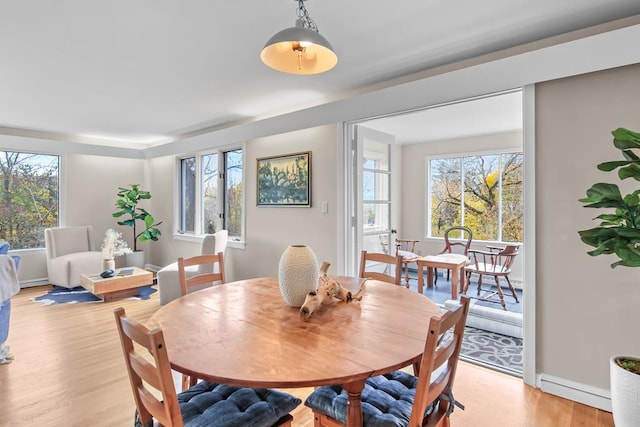 dining space featuring light hardwood / wood-style flooring and a baseboard radiator