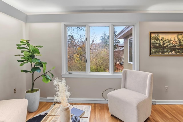 living area with light wood-type flooring