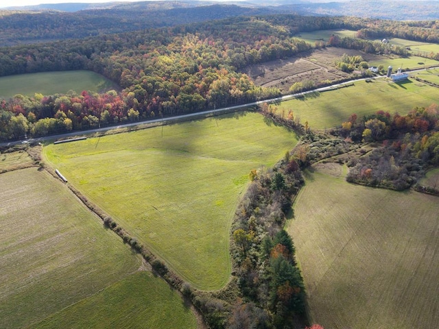 00 Parrott Rd, Cayuta NY, 14824 land for sale