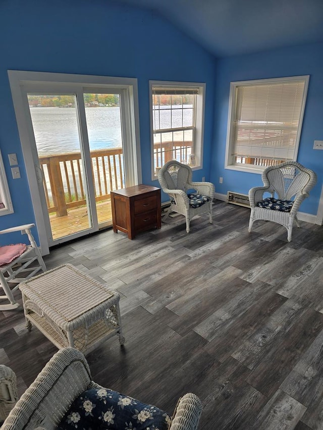 living area with lofted ceiling and wood-type flooring