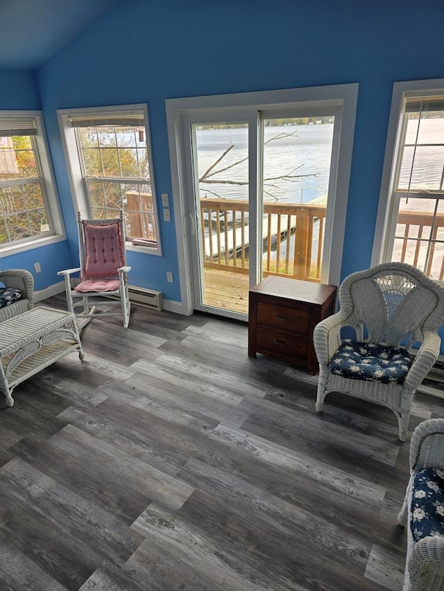 sitting room featuring lofted ceiling, plenty of natural light, and wood-type flooring