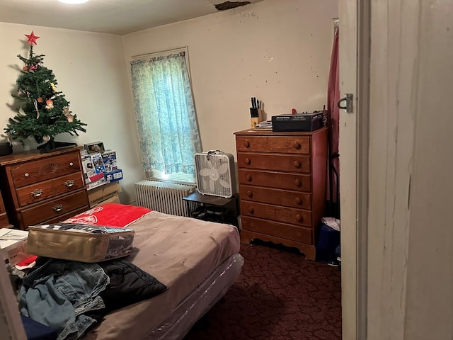 bedroom featuring radiator heating unit and carpet