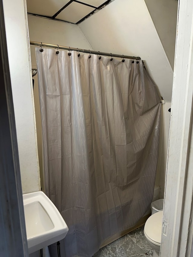 bathroom with sink and toilet