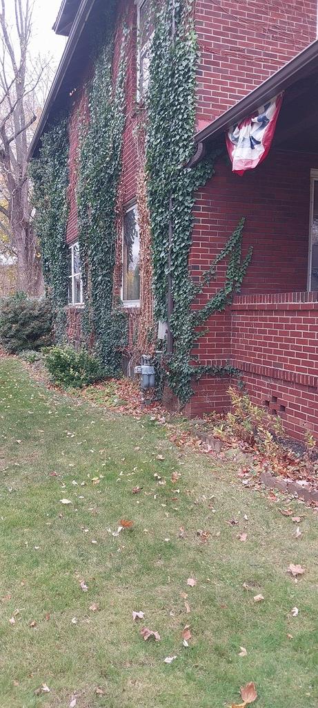 view of home's exterior with a lawn