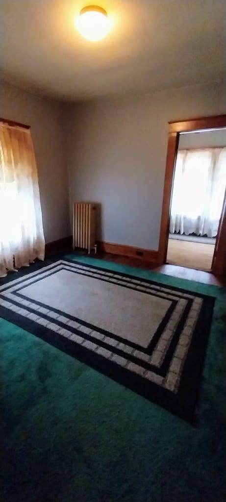 interior space with carpet flooring and radiator