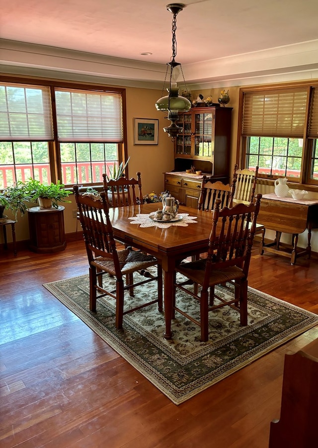 dining room with hardwood / wood-style flooring and plenty of natural light