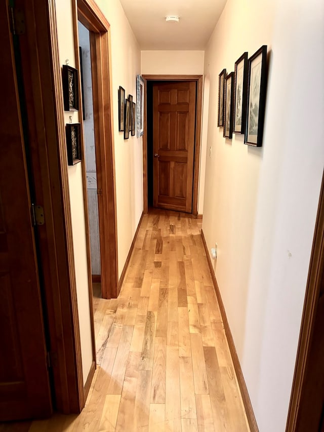 hallway with light hardwood / wood-style flooring