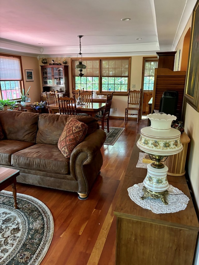 living room with dark hardwood / wood-style flooring